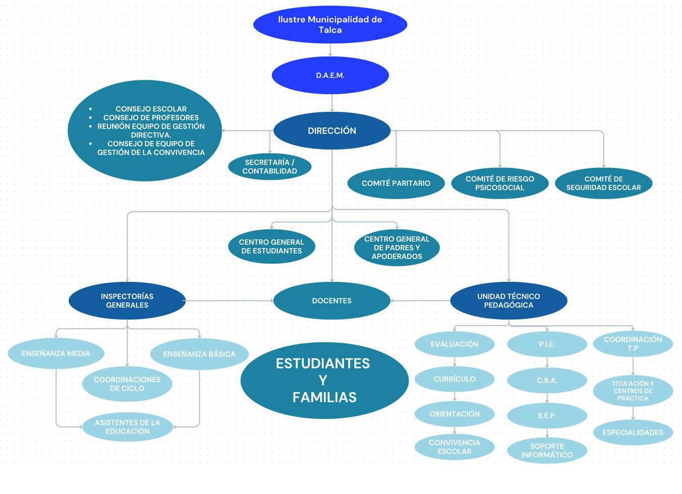 Organigrama Institucional – Liceo Complejo Educacional Javiera Carrera